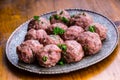 Raw meat balls. Prepared uncooked meat balls in a metal tray. Tr Royalty Free Stock Photo