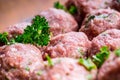 Raw meat balls. Prepared uncooked meat balls in a metal tray. Tr Royalty Free Stock Photo