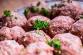 Raw meat balls. Prepared uncooked meat balls in a metal tray. Tr Royalty Free Stock Photo