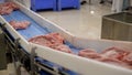 Raw meat cuts on an industrial conveyor. Meat processing in the food industry. Raw meat on a conveyor belt. Meat is Royalty Free Stock Photo