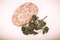 Raw meat cutlet with a sprig of parsley on a white background. T Royalty Free Stock Photo