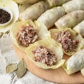 Raw Meat filling on rolling dough circles. Close up shot. Homemade Food Preparation. Process of cooking dumplings. Top Royalty Free Stock Photo