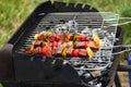 Raw meat just put on the barbecue, meat skewer with diced vegetables