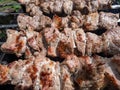 Raw meat on metal skewers - juicy red meat grilling and cooking on coals on a grill. Herbed and seasoned cubes of meat with brown