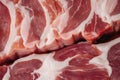 raw meat on a plate raw pork meat raw pork chops