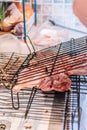 Raw meat put on some grills to cook on the barbecue Royalty Free Stock Photo