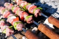 Raw meat skewers Royalty Free Stock Photo