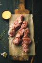 Raw meat on skewers. BBQ meat with spices. Royalty Free Stock Photo