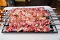 Raw meat on skewers for cooking kebabs on grill