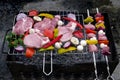 fresh raw beef shish kebab with pepper chunk on black big grill bbq Raw meat skewers with vegetables on wooden