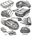 Raw meat vector drawing set. Hand drawn beef steak, pork ham, bacon, lamb rib, minced chicken forcemeat