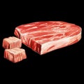 Raw farmer organic chopped meat watercolor illustration on black background