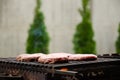 Raw meatballs for burgers are fried on grill on background of trees. Meat is roasting on BBQ grill outdoor. Heat and smoke Royalty Free Stock Photo