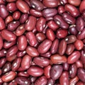 Raw mexican red beans close up Royalty Free Stock Photo