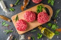 Raw minced meat beef burger cutlets Royalty Free Stock Photo