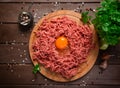 Raw minced meat with egg Royalty Free Stock Photo
