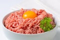 Raw minced meat and egg yolk