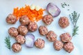 Raw minced meat with pepper, carrots, herbs and spices for cooking soup with meatballs .