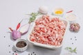 Raw minced meat, spices and herbs. Traditional ingredients for cooking cutlets or meatballs Royalty Free Stock Photo