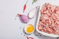 Raw minced meat, spices and herbs. Traditional ingredients for cooking cutlets or meatballs Royalty Free Stock Photo