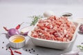 Raw minced meat, spices and herbs. Traditional ingredients for cooking cutlets or meatballs Royalty Free Stock Photo