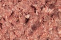 Raw minced meat texture background. Chopped meat background.  fresh raw ground pork heap. Top view Royalty Free Stock Photo