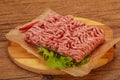 Raw Minced pork meat for cooking Royalty Free Stock Photo