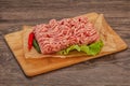 Raw Minced pork meat for cooking Royalty Free Stock Photo