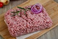 Raw minced pork meat Royalty Free Stock Photo