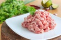 Raw minced pork meat Royalty Free Stock Photo