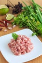 Raw minced pork meat Royalty Free Stock Photo