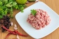 Raw minced pork meat Royalty Free Stock Photo