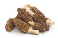 raw morel mushroom isolated on white background with full depth of field Royalty Free Stock Photo