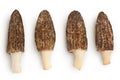 raw morel mushroom isolated on white background with full depth of field. Top view. Flat lay. Royalty Free Stock Photo