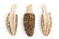raw morel mushroom isolated on white background with full depth of field. Top view. Flat lay. Royalty Free Stock Photo