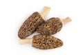 raw morel mushroom isolated on white background with full depth of field. Top view. Flat lay. Royalty Free Stock Photo