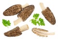 raw morel mushroom isolated on white background with full depth of field. Top view. Flat lay. Royalty Free Stock Photo