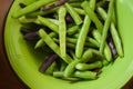 Raw multicolored green and purple beans close up on a plate. Royalty Free Stock Photo