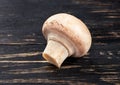 Raw mushroom champignon Royalty Free Stock Photo