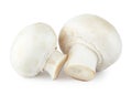 Raw mushroom champignon Royalty Free Stock Photo