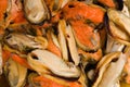 Raw Mussel Royalty Free Stock Photo