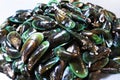 Raw Mussel shell in market, Fresh seafood in Thailand Royalty Free Stock Photo