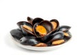 Raw Mussel on White Background Royalty Free Stock Photo