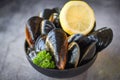 Raw Mussels with herbs lemon on bowl and dark background - Fresh seafood shellfish on ice in the restaurant or for sale in the Royalty Free Stock Photo