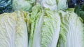 raw mustard greens on market as basic ingredient for several asian cuisine like sukiyaki and kimchi