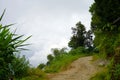 Raw Narrow Road of the Mountain Village Towards Lungchok Royalty Free Stock Photo