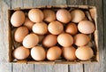 Raw natural chicken eggs in a box.