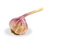 Raw natural garlic, on a white background, do not insulate