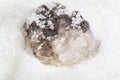 raw natural Halite mineral in grained Rock Salt