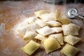 Raw natural ravioli strew with flour on a wooden table